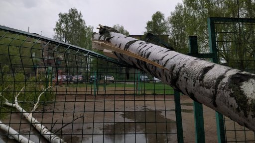 В Бронницах сильный ветер повредил кровлю домов и повалил несколько деревьев