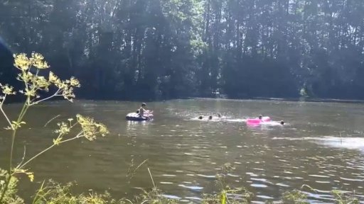 На пруду на Горке сейчас так
