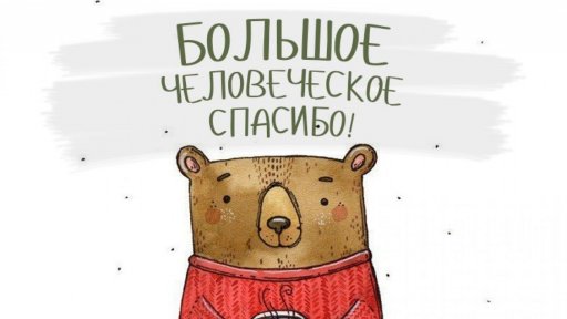 Благодарность администрации города за оперативное наведение порядка на Льва Толстого 5
